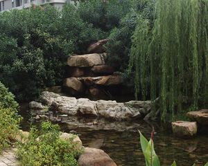 中式庭院之园林绿化