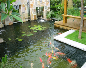 庭院水池景观设计